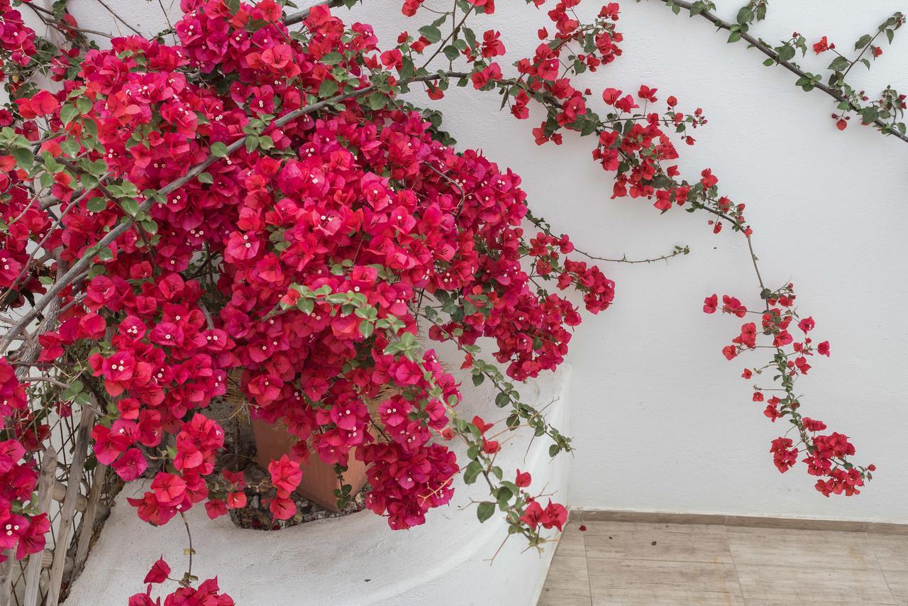 Depis Suites Naxos City Exterior foto